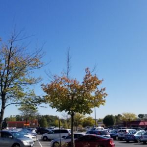 Meet your Posher, Eddie s